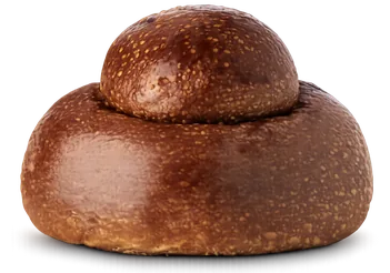 Brioscia al cioccolato