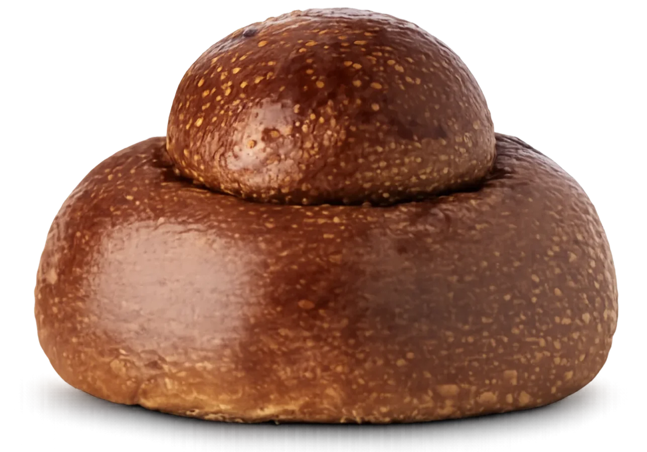 Brioscia al cioccolato